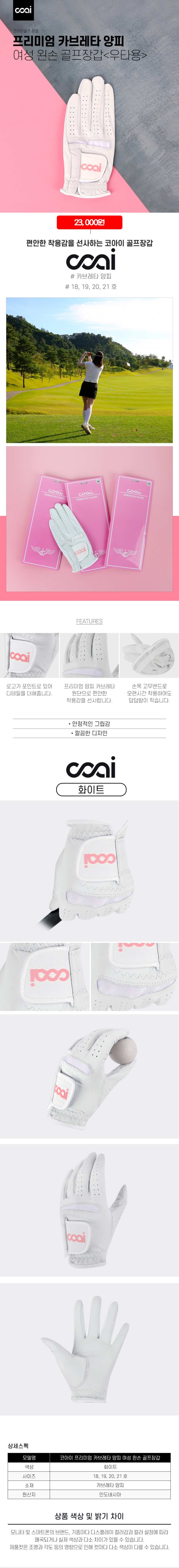 골마켓coaiwomangloveright.jpg