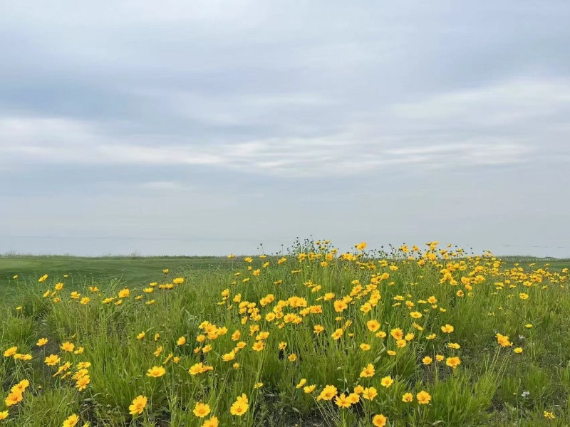 루비골프[여행사전용]_사진_20250723_9.jpg