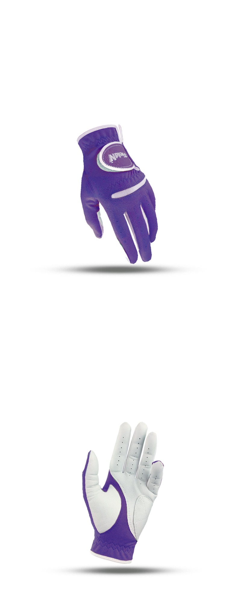 fnall_10.jpg