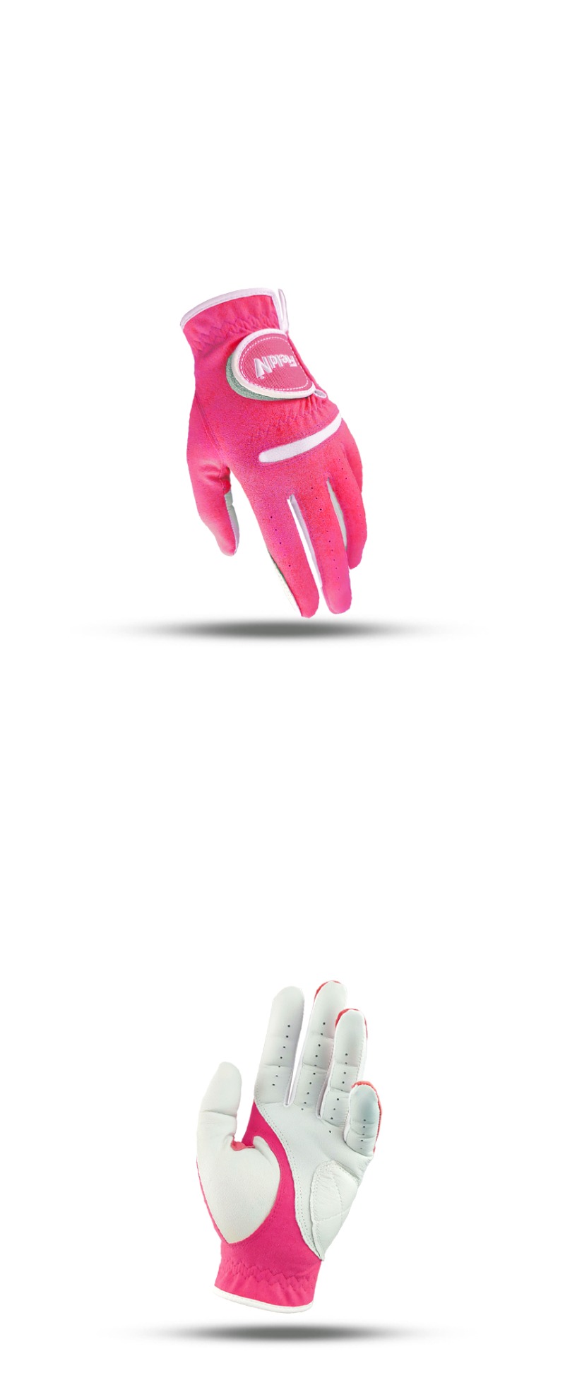 fnall_16.jpg