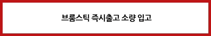 즉시 출고 브룸스틱.png