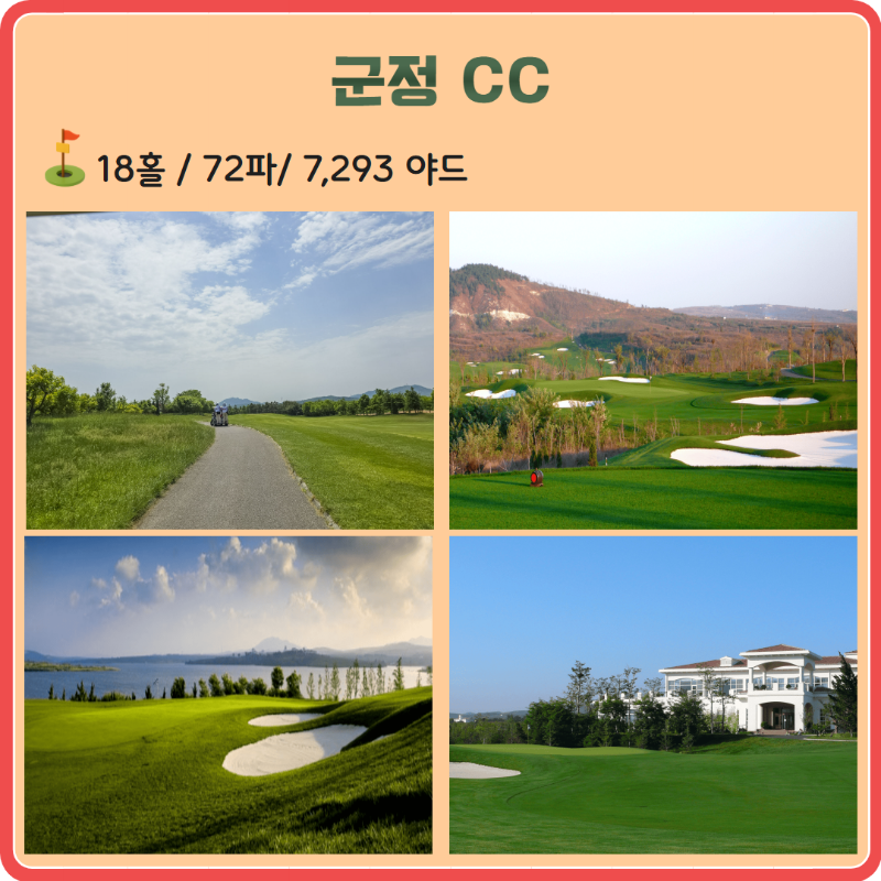 879795 (7).png