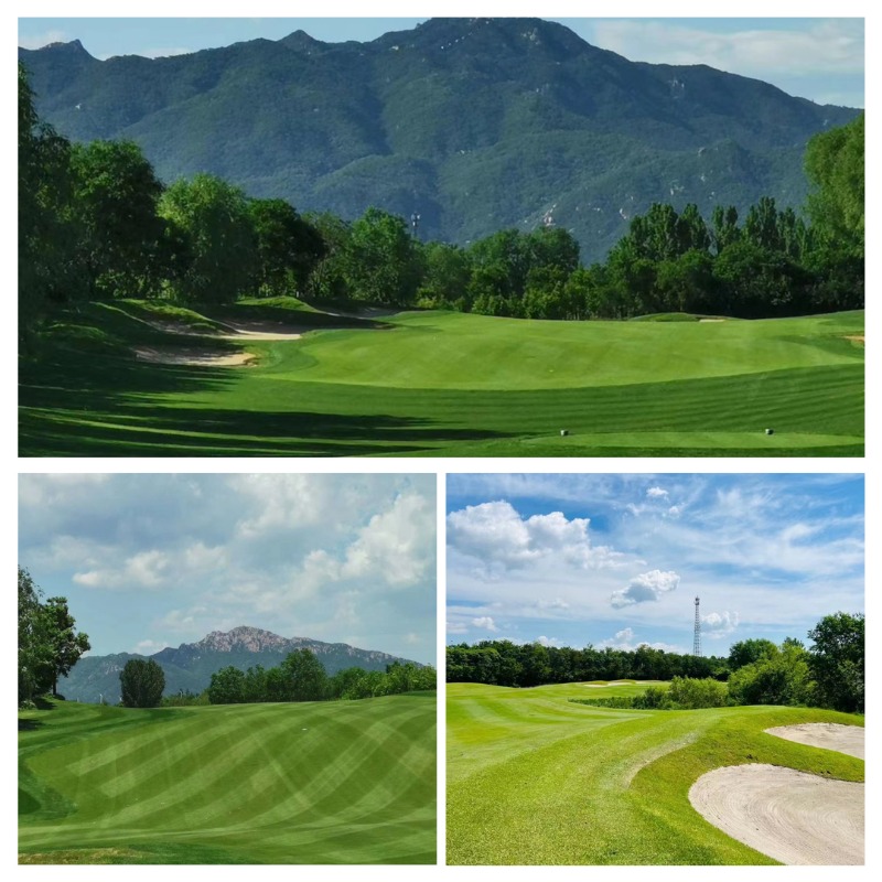 중국 천진&베이징 판산CC 3박4일 골프 패키지 5.jpg