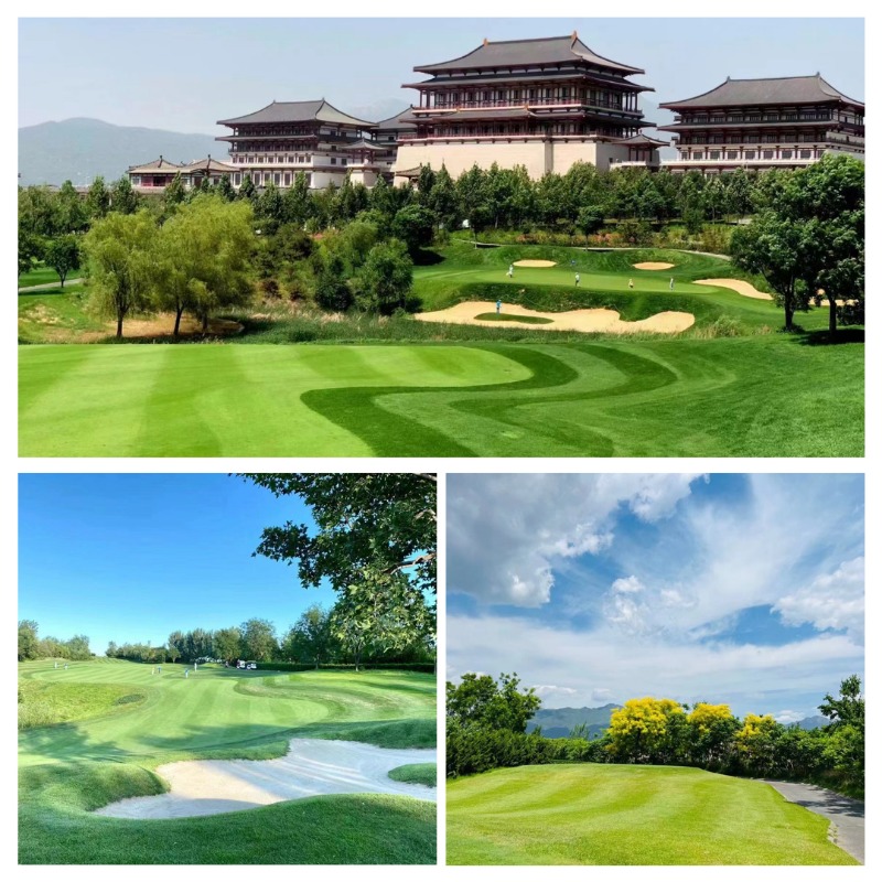 중국 천진&베이징 판산CC 3박4일 골프 패키지 7.jpg