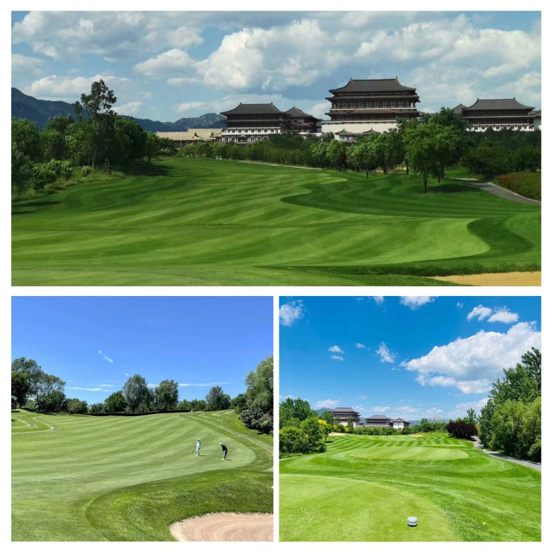 중국 천진&베이징 판산CC 3박4일 골프 패키지 9.jpg