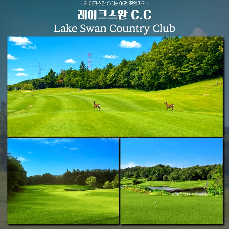 일본 기타큐슈 간몬시내 2색 골프 여행 패키지 레이크스완cc 산요국제cc 5.jpg