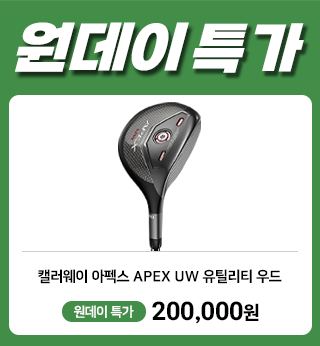 PC팝업 (320X346).png