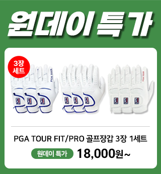 PC팝업 (320X346).png